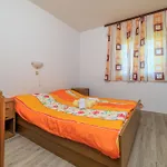 Apartment Milorad M