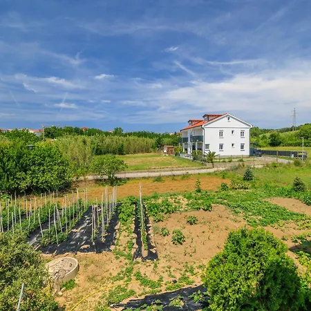 Apartament Milorad M *